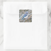 Blaue Jay im Schneesturm Quadratischer Aufkleber (Tasche)