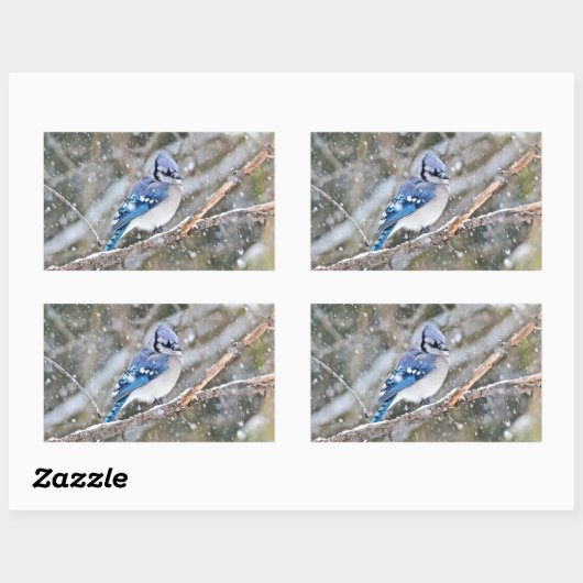 Blaue Jay im Schneesturm Rechteckiger Aufkleber (Blatt)