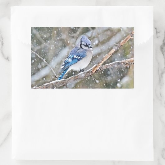Blaue Jay im Schneesturm Rechteckiger Aufkleber (Tasche)