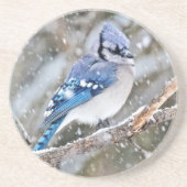 Blaue Jay im Schneesturm Untersetzer (Vorne)