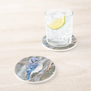 Blaue Jay im Schneesturm Untersetzer