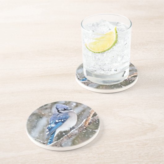 Blaue Jay im Schneesturm Untersetzer (Seite)