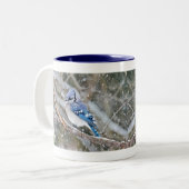 Blaue Jay im Schneesturm Zweifarbige Tasse (Vorderseite Links)
