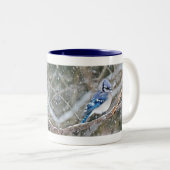 Blaue Jay im Schneesturm Zweifarbige Tasse (VorderseiteRechts)