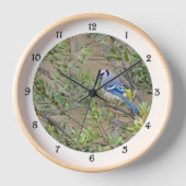 Blaue Jay im südlichen Wachswald Myrtle Wall Clock Uhr (Vorderseite)
