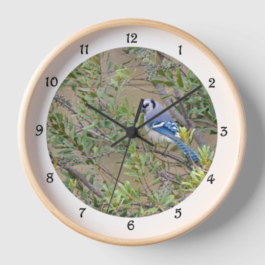 Blaue Jay im südlichen Wachswald Myrtle Wall Clock Uhr (Vorderseite)
