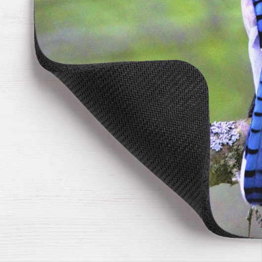 Blaue Jay im Wald durch Lichtstrahl Mousepad (Ecke)