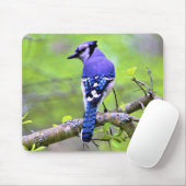 Blaue Jay im Wald durch Lichtstrahl Mousepad (Mit Mouse)