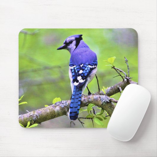 Blaue Jay im Wald durch Lichtstrahl Mousepad (Mit Mouse)