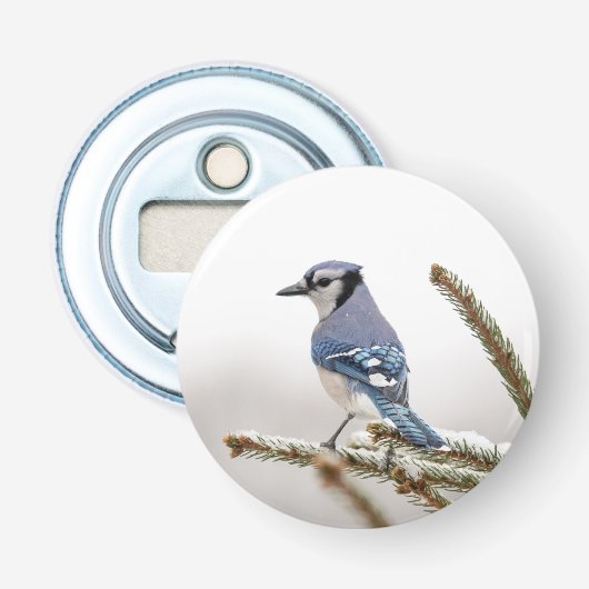 Blaue Jay im Winter Flaschenöffner (Vorderseite)