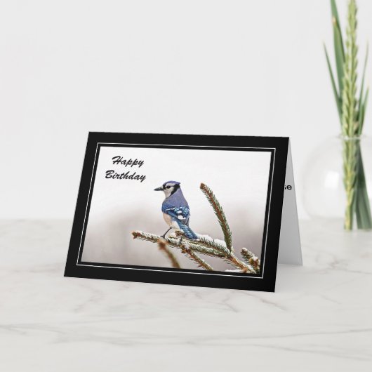 Blaue Jay im Winter Geburtstagskarte Karte (Vorderseite)