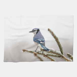 Blaue Jay im Winter Geschirrtuch