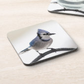 Blaue Jay im Winter Getränkeuntersetzer (Linke Seite)