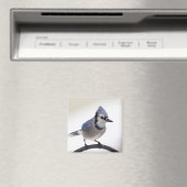 Blaue Jay im Winter Magnet (In Situ (Geschirrspüler))