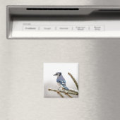 Blaue Jay im Winter Magnet (In Situ (Geschirrspüler))