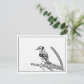 Blaue Jay im Winter Postkarte (Stehend Vorderseite)