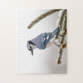 Blaue Jay im Winter Puzzle (Vertikal)