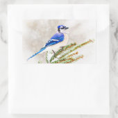 Blaue Jay im Winter Rechteckiger Aufkleber (Tasche)