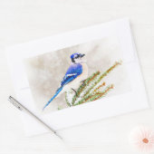 Blaue Jay im Winter Rechteckiger Aufkleber (Umschlag)