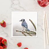Blaue Jay im Winter Serviette (Beispiel)