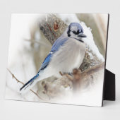 Blaue Jay im Winterschnee Fotoplatte (Seite)