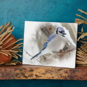 Blaue Jay im Winterschnee Fotoplatte (Seite)