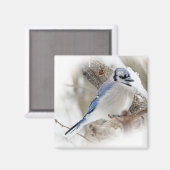 Blaue Jay im Winterschnee Magnet (Vorderseite/Rückseite)