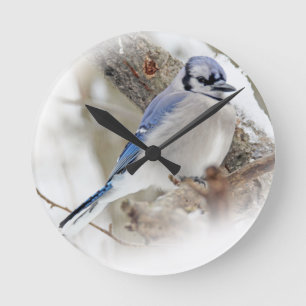 Blaue Jay im Winterschnee Runde Wanduhr