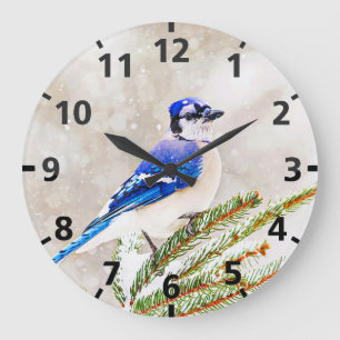 Blaue Jay in einem Kiefernbaum mit Schnee Große Wanduhr