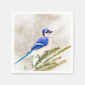 Blaue Jay in einem Kiefernbaum mit Schnee Serviette (Vorderseite)