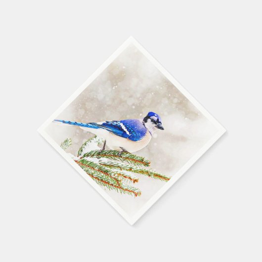 Blaue Jay in einem Kiefernbaum mit Schnee Serviette (Ecke)
