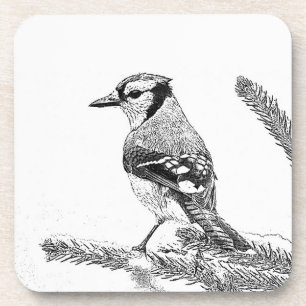 Blaue Jay in Winterskizze Untersetzer