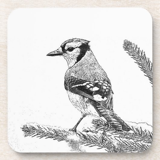 Blaue Jay in Winterskizze Untersetzer (Vorderseite)