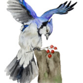 Blaue Jay Keramik Ornament