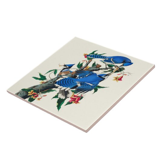 Blaue Jay Keramik Tile Fliese (Seite)