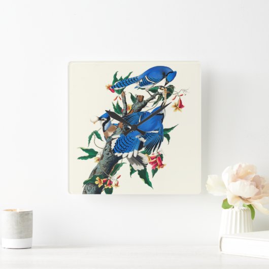 Blaue Jay Keramik Tile Quadratische Wanduhr (Zuhause)