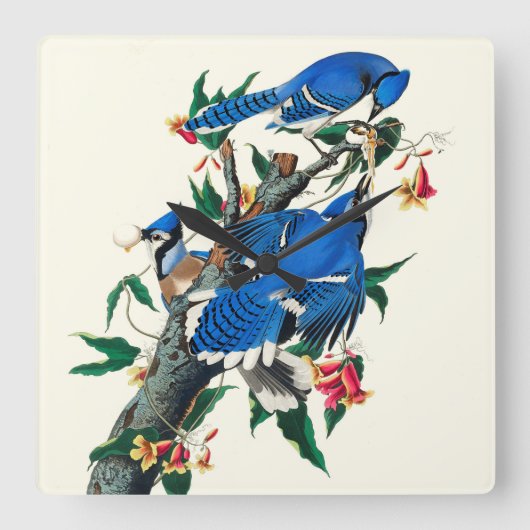 Blaue Jay Keramik Tile Quadratische Wanduhr (Vorderseite)