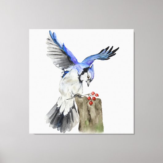 Blaue Jay Leinwanddruck (Vorderseite)