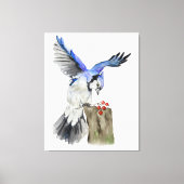 Blaue Jay Leinwanddruck (Vorderseite)