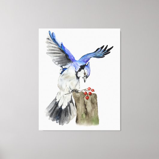 Blaue Jay Leinwanddruck (Vorderseite)