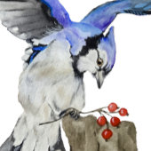 Blaue Jay Leinwanddruck