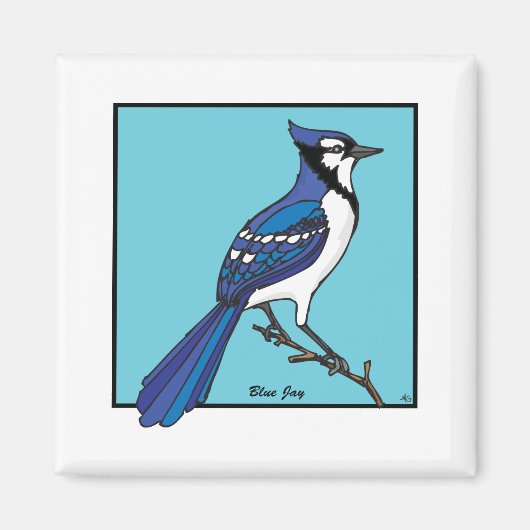 BLAUE JAY MAGNET (Vorne)