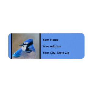 Blaue Jay-Malerei - Original Bird Art