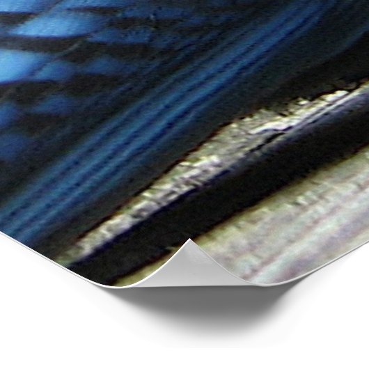 Blaue Jay mit Blume Poster (Ecke)