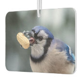 Blaue Jay mit Erdnuss Autolufterfrischer (Links)