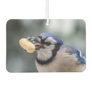 Blaue Jay mit Erdnuss Autolufterfrischer