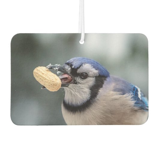 Blaue Jay mit Erdnuss Autolufterfrischer (Vorderseite)