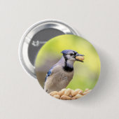 Blaue Jay mit Erdnuss Button (Vorne & Hinten)