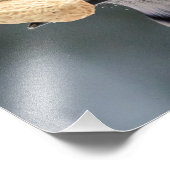 Blaue Jay mit Erdnuss Fotodruck (Ecke)