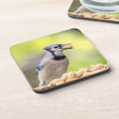 Blaue Jay mit Erdnuss Getränkeuntersetzer (Linke Seite)